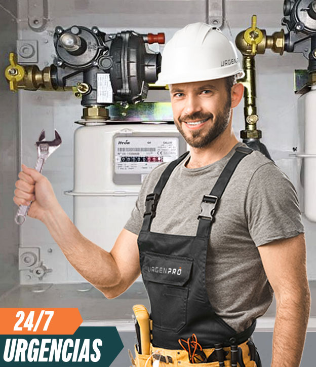 sustitución regulador gas natural